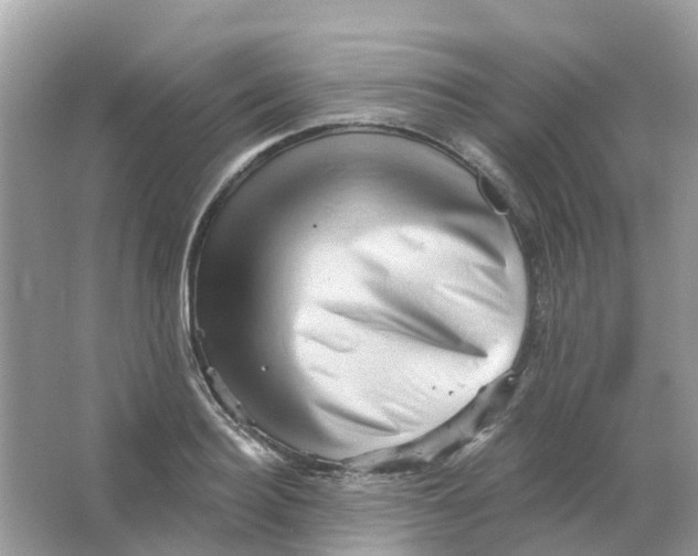X0000065990940200603242002