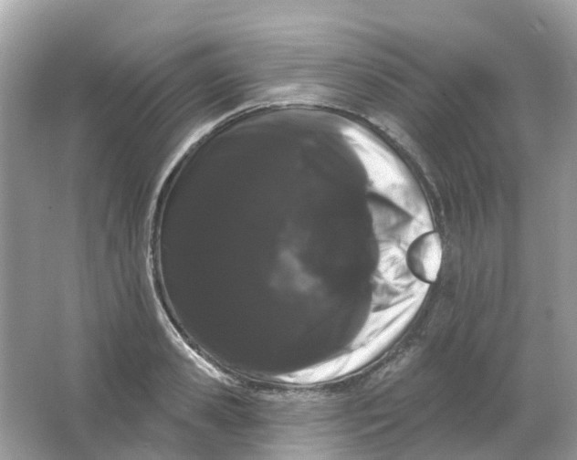 X0000065990941200603242002