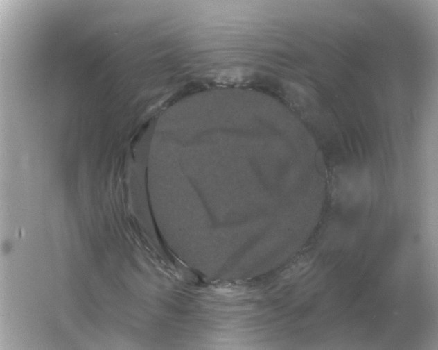 X0000065990962200603242001