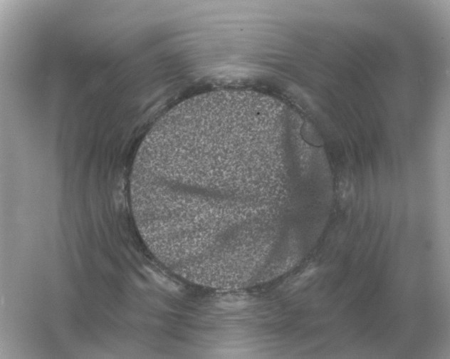 X0000065990964200603242001