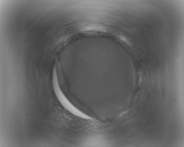 X0000065990965200603242001