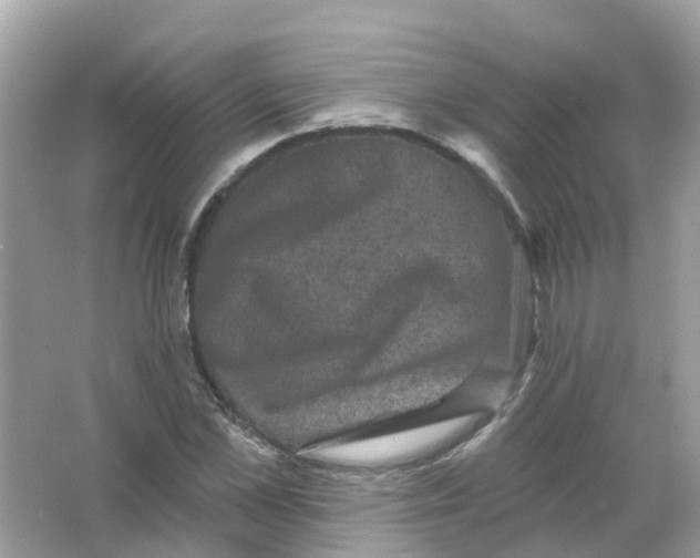 X0000065990973200603242001