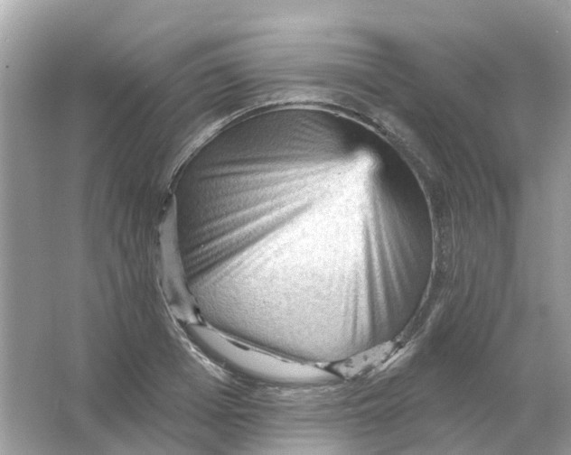 X0000065990985200603242001