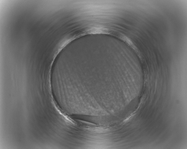 X0000065990986200603242001