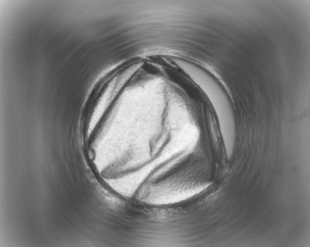 X0000065990987200603242001
