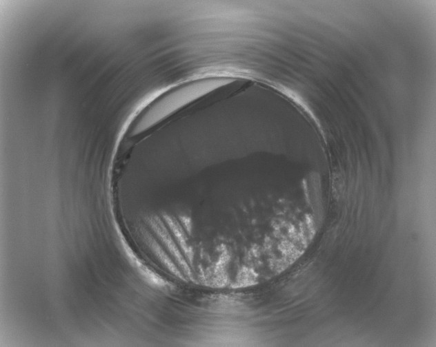 X0000065990995200603242001