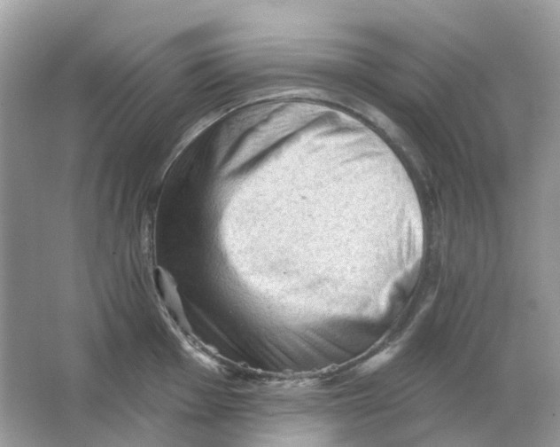 X0000065991001200603242000