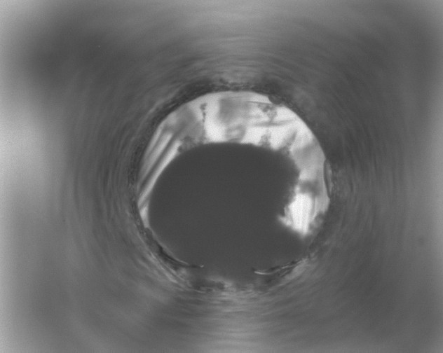 X0000065991009200603242000