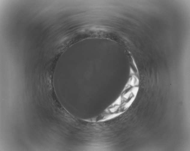 X0000065991013200603242000