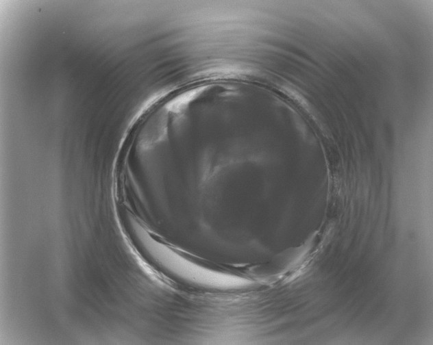 X0000065991034200603242000