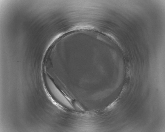 X0000065991038200603242000
