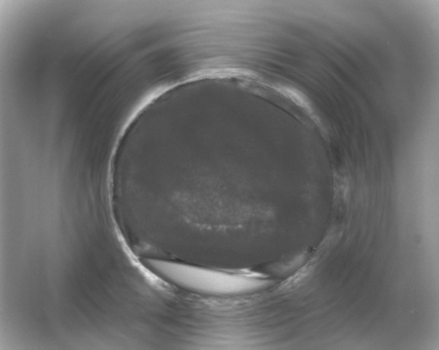 X0000065991046200603242000