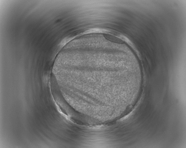 X0000065991049200603242000