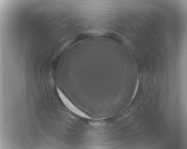 X0000065991058200603241959