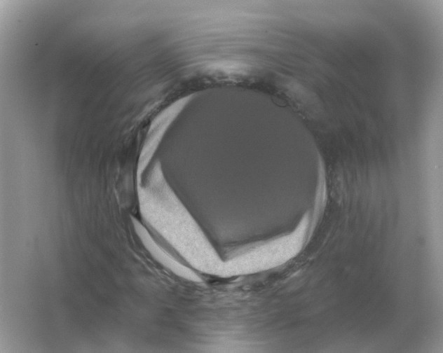 X0000065991061200603241959