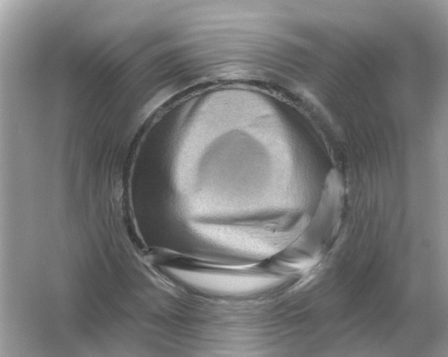 X0000065991065200603241959