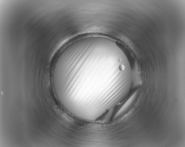 X0000065991069200603241959