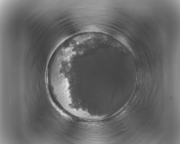 X0000065991084200603241959