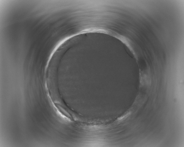X0000065991102200603241959