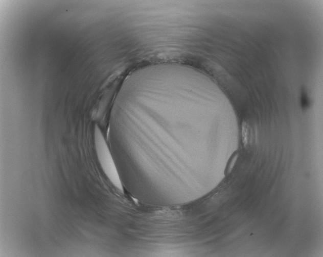 X0000065991107200603241958
