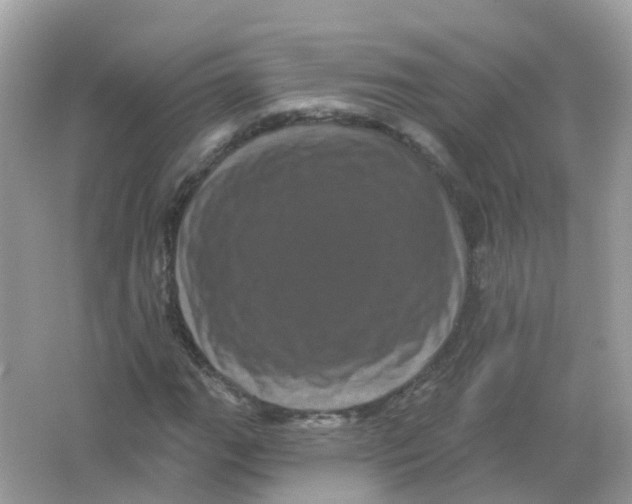 X0000065991111200603241958