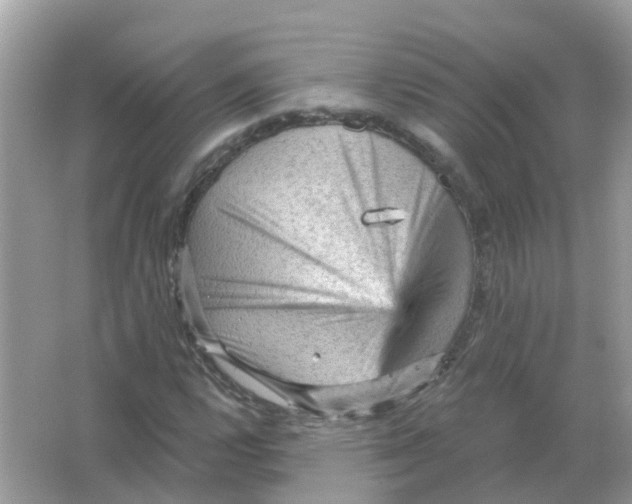 X0000065991112200603241958