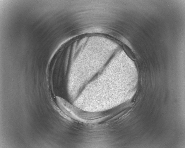 X0000065991116200603241958