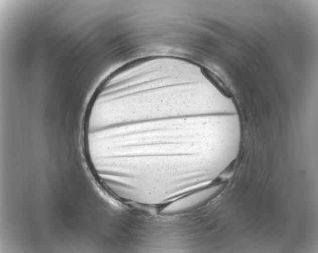 X0000065991136200603241958