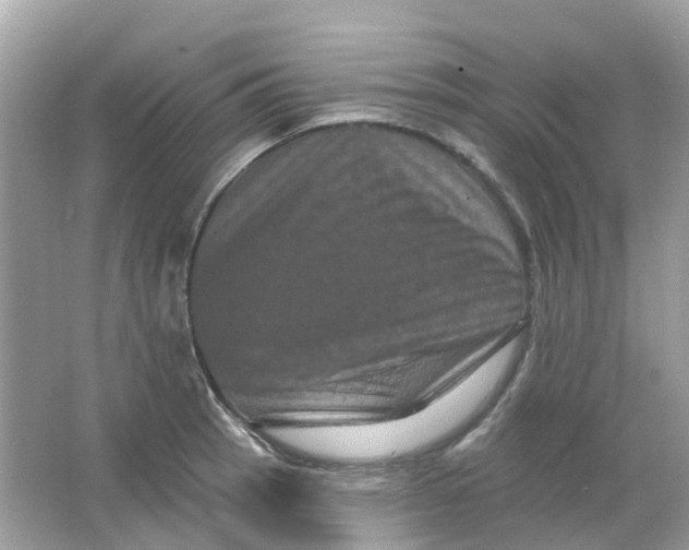 X0000065991137200603241958