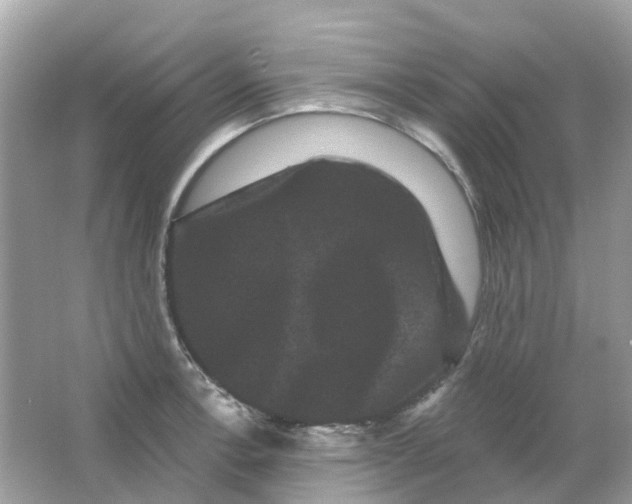 X0000065991138200603241958