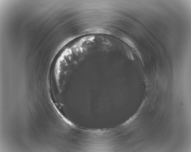X0000065991141200603241958