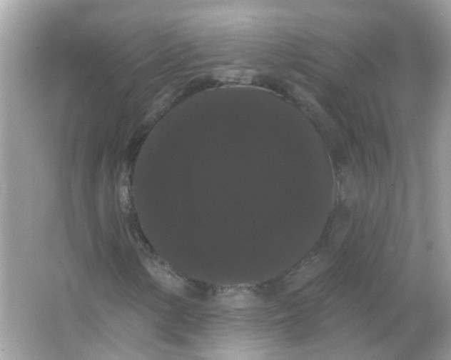 X0000065991154200603241958