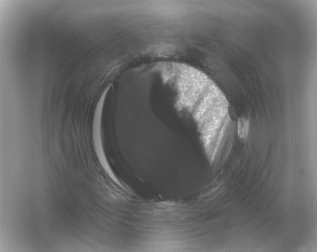 X0000065991155200603241958