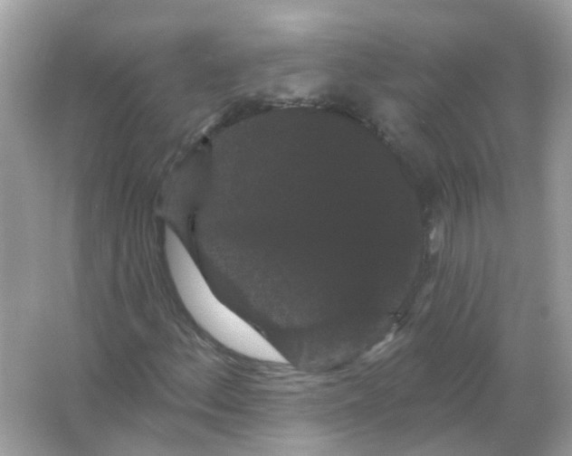 X0000065991156200603241958