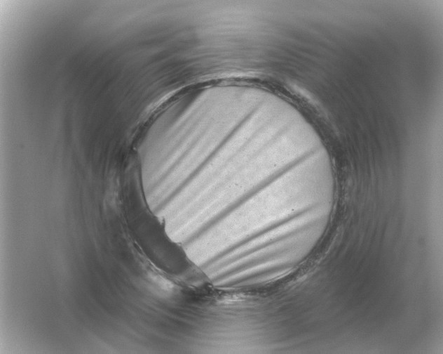 X0000065991169200603241958