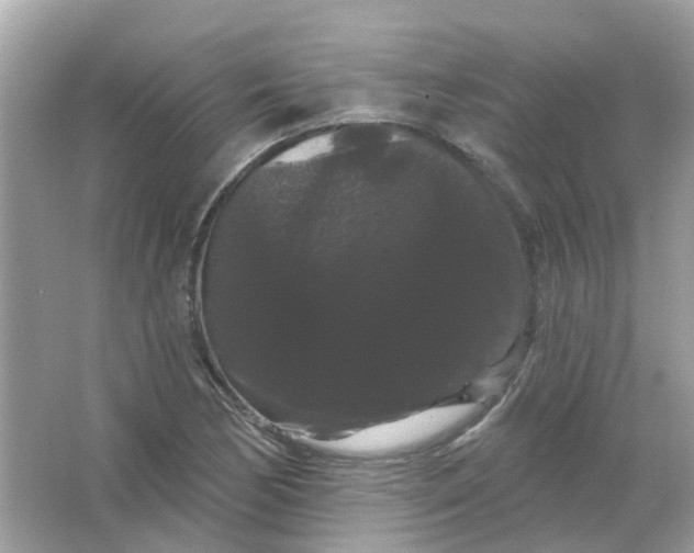 X0000065991170200603241958