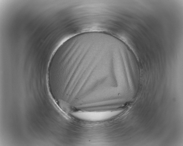 X0000065991187200603241957