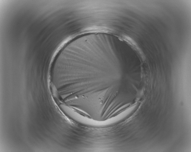 X0000065991188200603241957