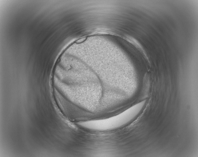X0000065991190200603241957