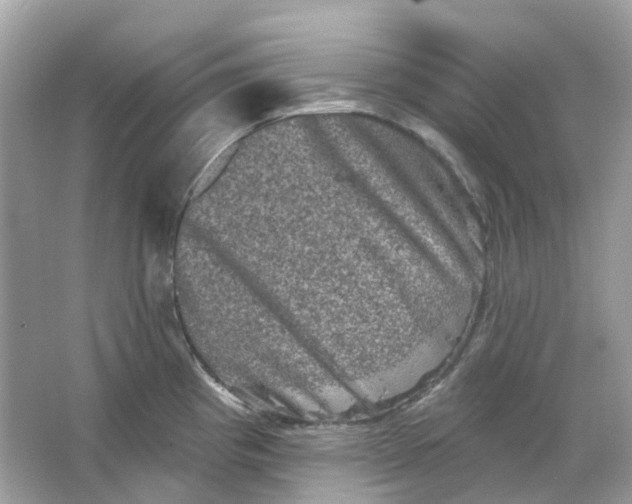 X0000065991193200603241957