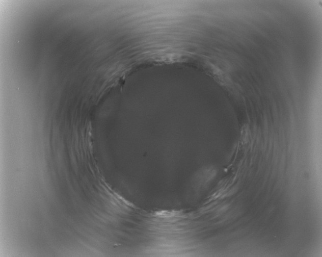 X0000065991202200603241956