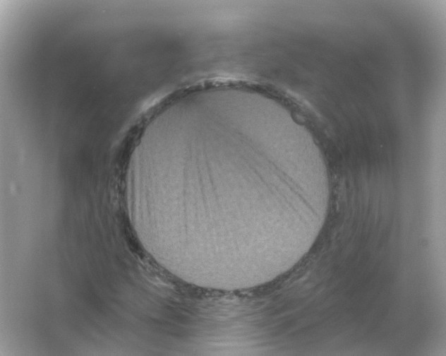 X0000065991207200603241956