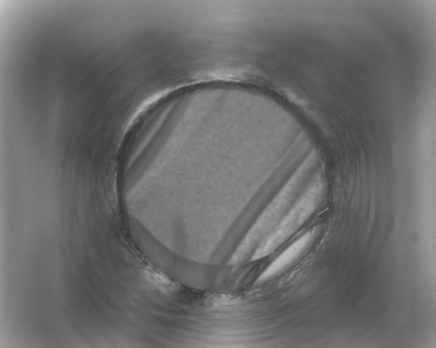 X0000065991214200603241956