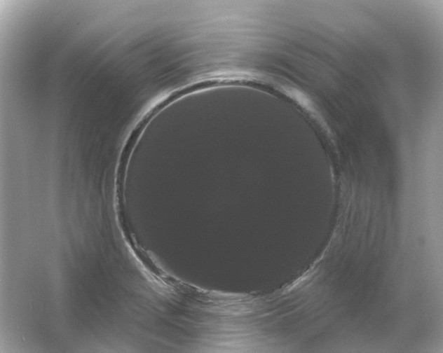 X0000065991229200603241957