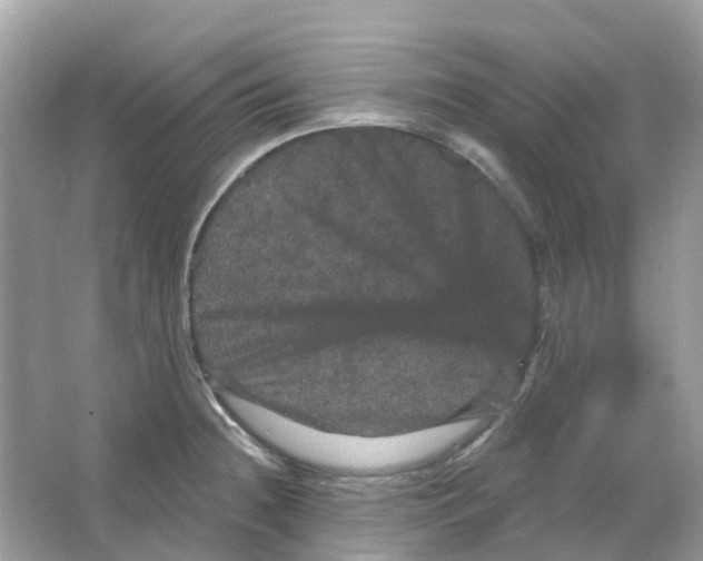 X0000065991236200603241957