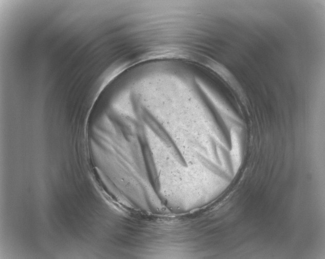 X0000065991242200603241957