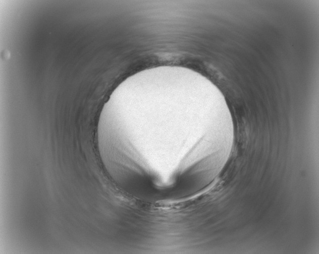 X0000065991249200603241956