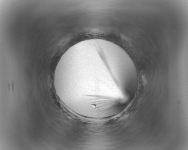X0000065991253200603241956