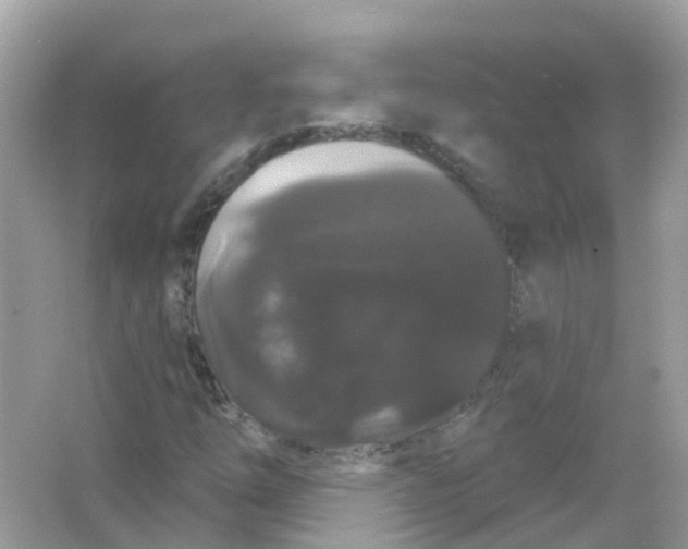 X0000065991254200603241956
