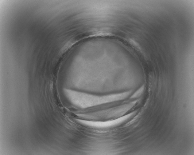 X0000065991257200603241956